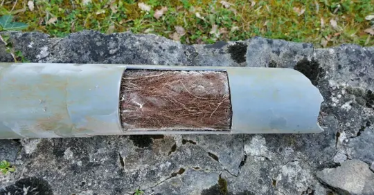 Drainage pipe blocked by roots